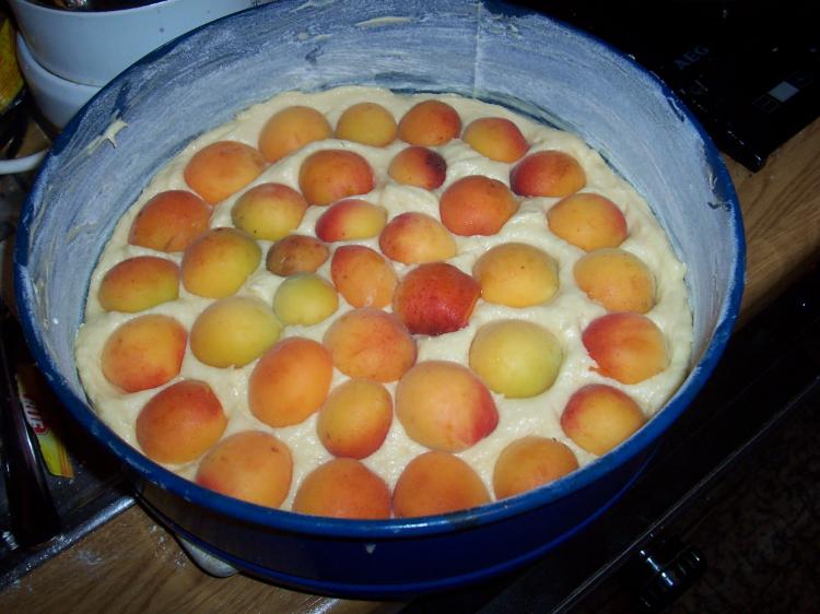 Aprikosenkuchen