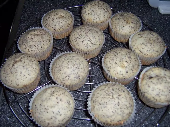 Mohn-Muffins