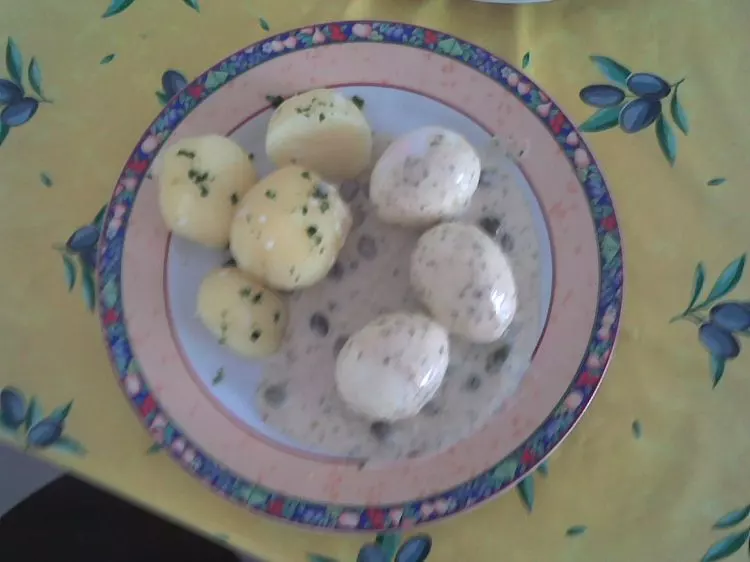 Wachsweiche Eier in Petersilien-Kapern-Sauce