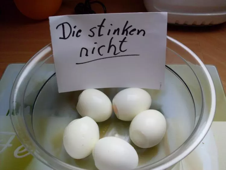 Eier-Schnitzel