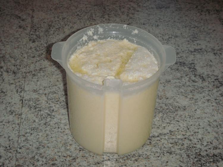 Sojamilch-Joghurt
