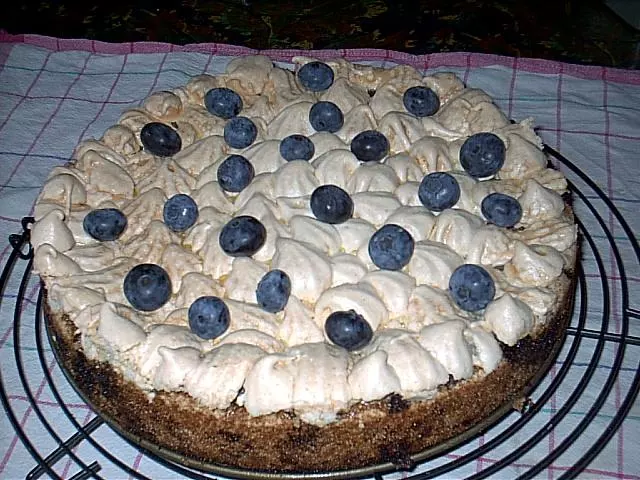 Heidelbeer-Baiser-Kuchen