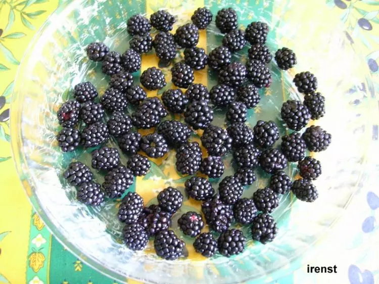 Brombeer- Clafoutis
