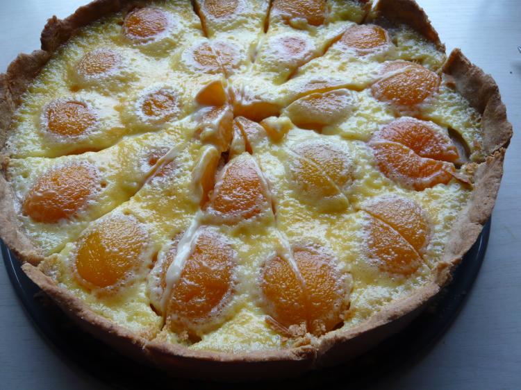 Fruchtiger Aprikosenkuchen
