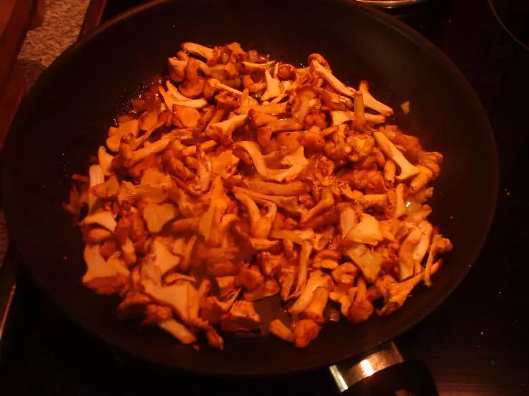 Jägerschnitzel "Artemis"