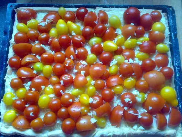 Gaby´s buntes Tomaten-Tarte-Blech