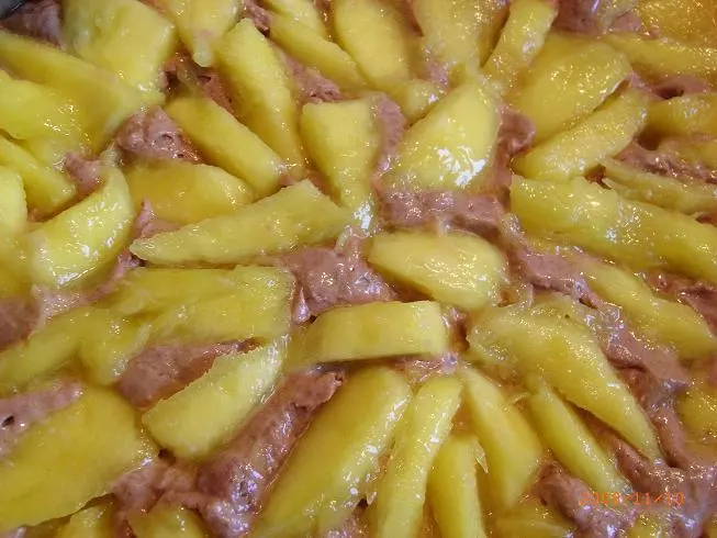 Schoko-Mango-Apfelkuchen