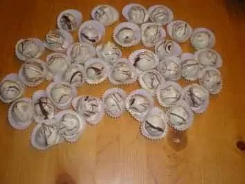 Orangen-Marzipan-Pralinen