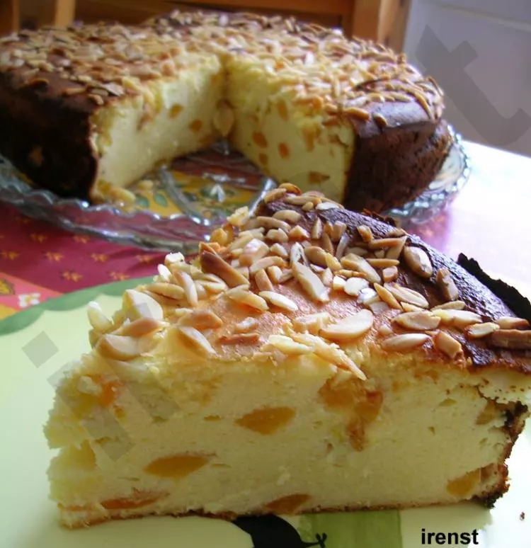 Quark-Aprikosen-Kuchen