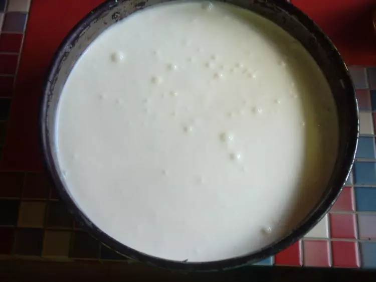 Holunderblüten-Joghurt-Torte