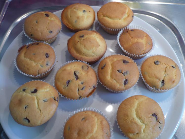 Muffins mit Schokotröpfchen