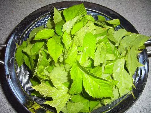 Blätterteigtaschen *türkisch* gefüllt 