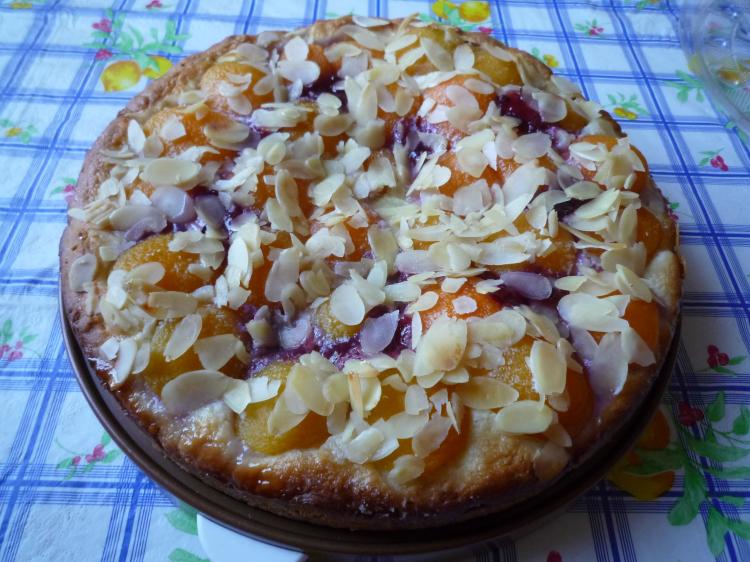 Aprikosen-Blechkuchen mit Mandelkruste