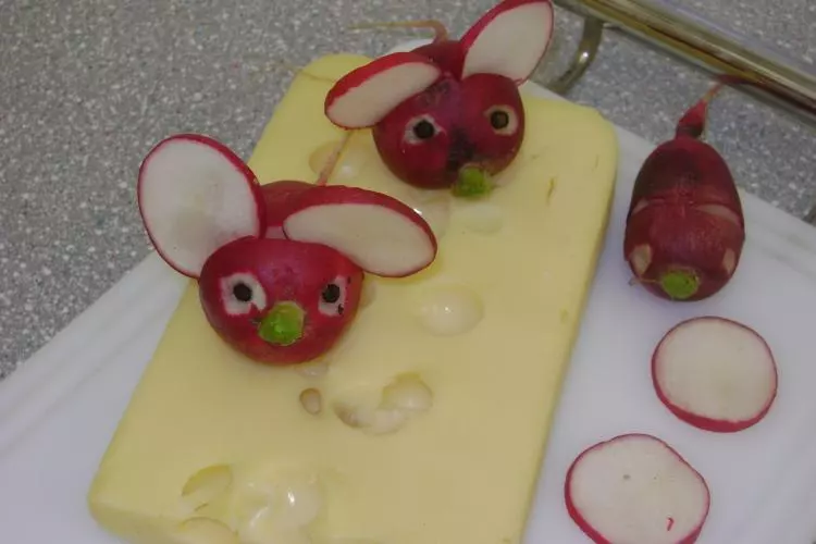 Mäuse im Käse