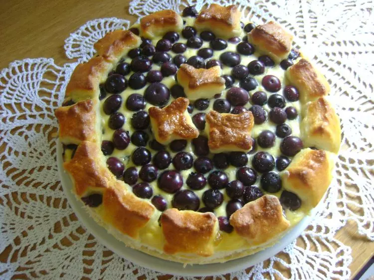 Topfen-Heidelbeer-Kuchen