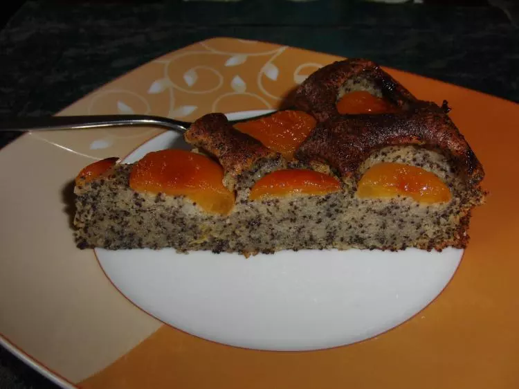 Mohn-Grießkuchen mit Aprikosen
