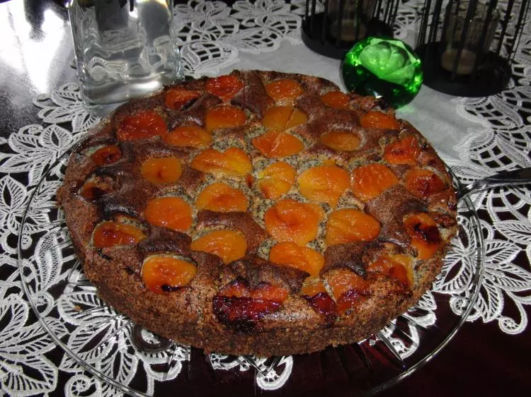 Mohn-Grießkuchen mit Aprikosen