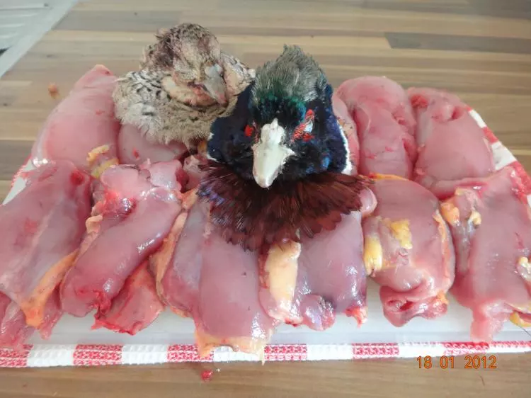 Fasanrollbraten