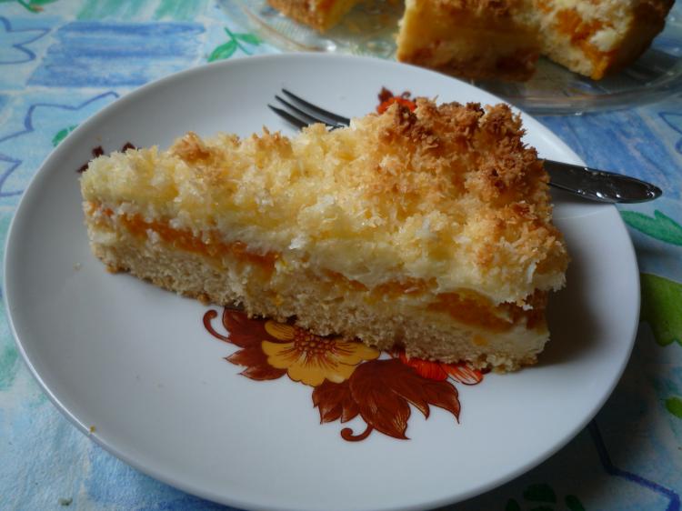 Mandarinen-Kuchen mit Kokosstreuseln | Kochmeister Rezept