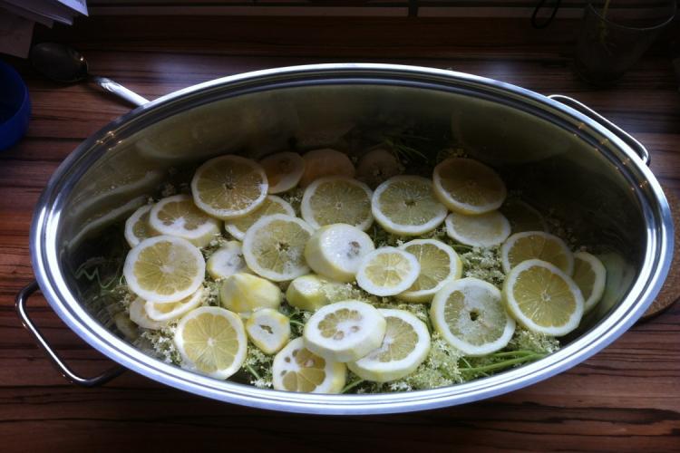 Hollersirup | Kochmeister Rezept