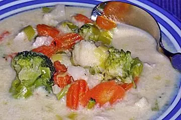 Bunte Geflügel Käsesuppe
