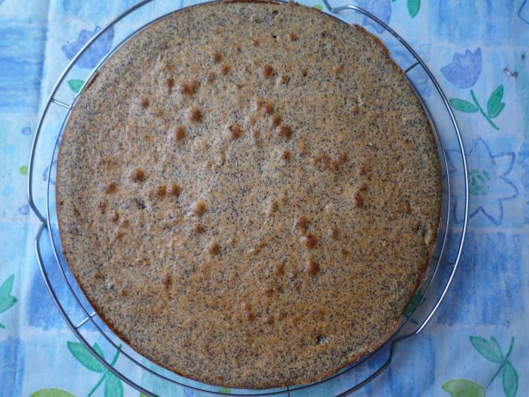 Mohnkuchen Mit Schoko Guss Kochmeister Rezept