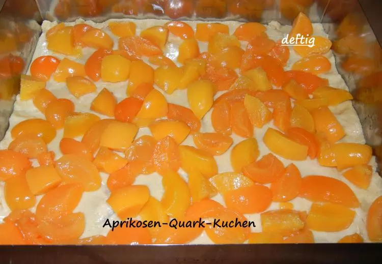 Aprikosen-Quark-Kuchen