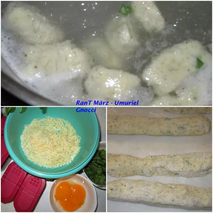 Gnocchi Mailänder Art mit Pilz-Sahne-Sauce