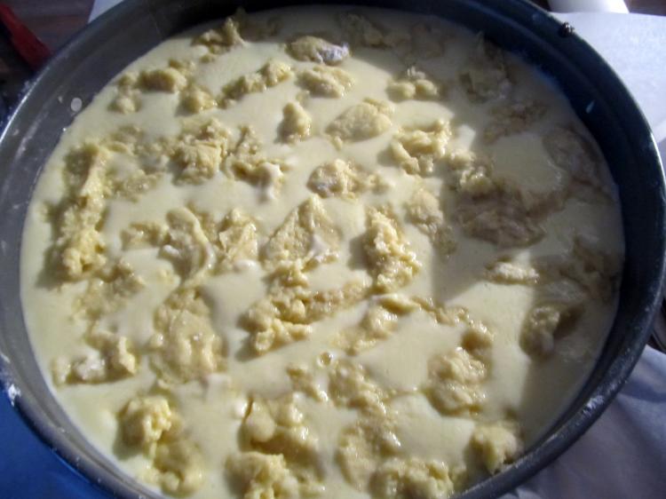 Mohn-Joghurt-Flecken-Kuchen