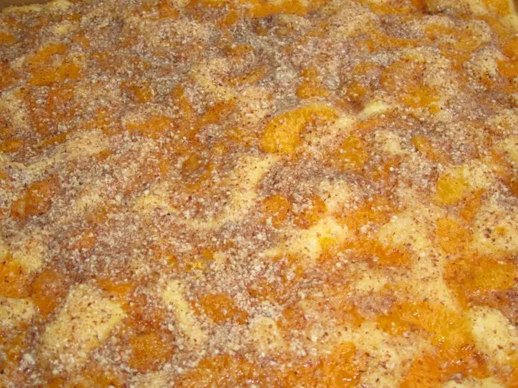 Siggis schneller Mandarinenblechkuchen
