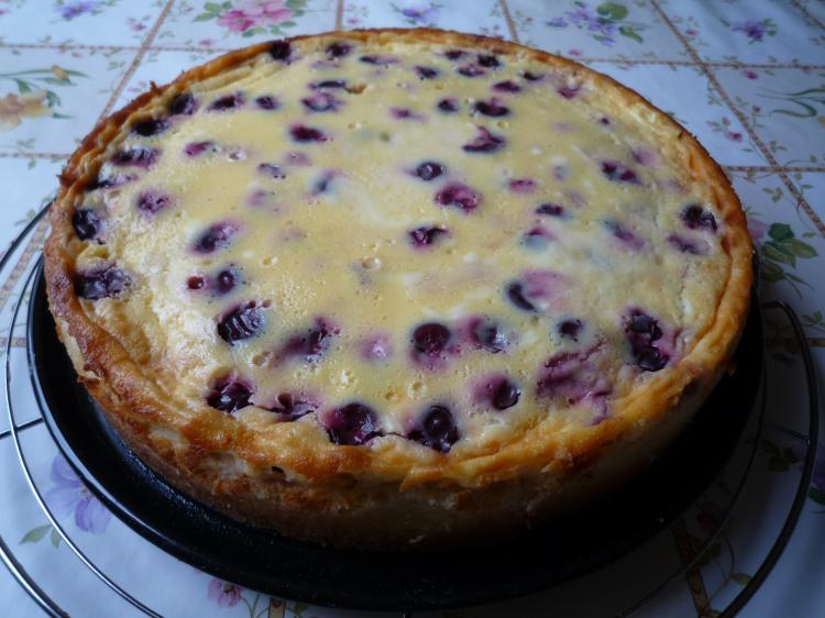 Mürber Kirschkuchen mit Créme Fraiche-Guss | Kochmeister Rezept