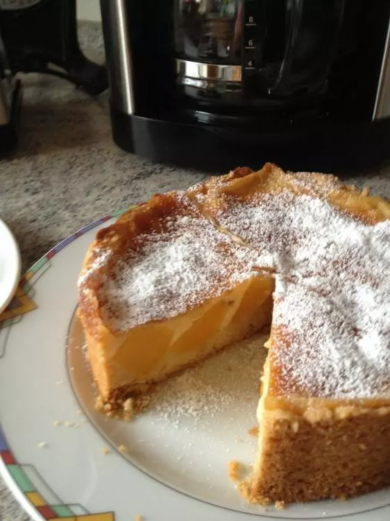 Pfirsich-Pudding-Kuchen 18 cm Springform