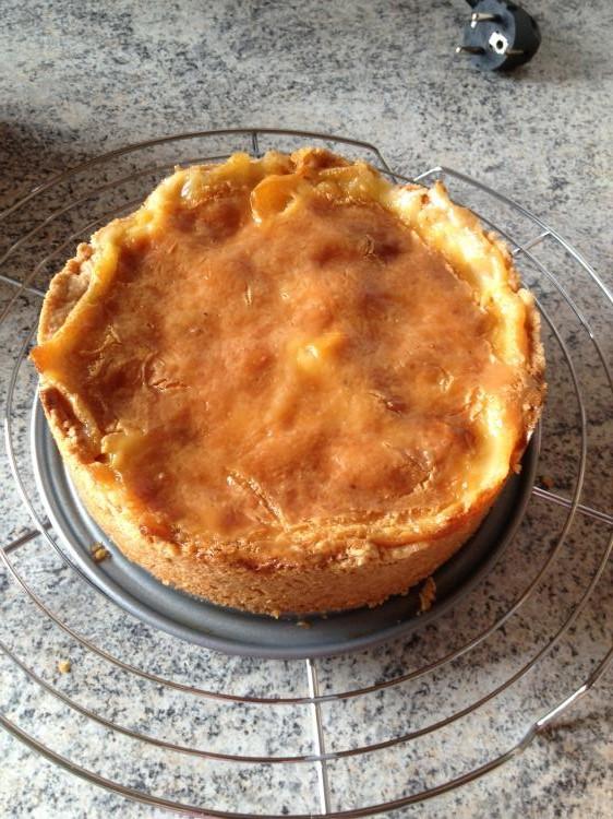 Pfirsich-Pudding-Kuchen 18 cm Springform | Kochmeister Rezept