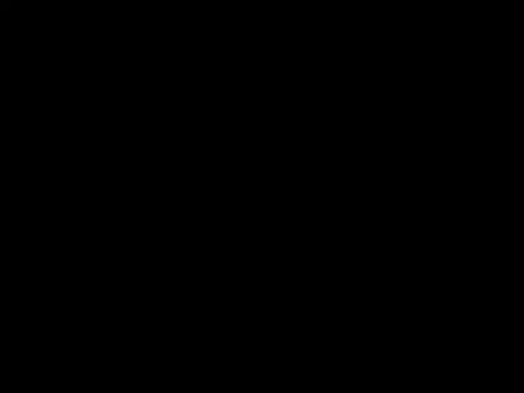 Edle Schoko-Cognac-Trüffel
