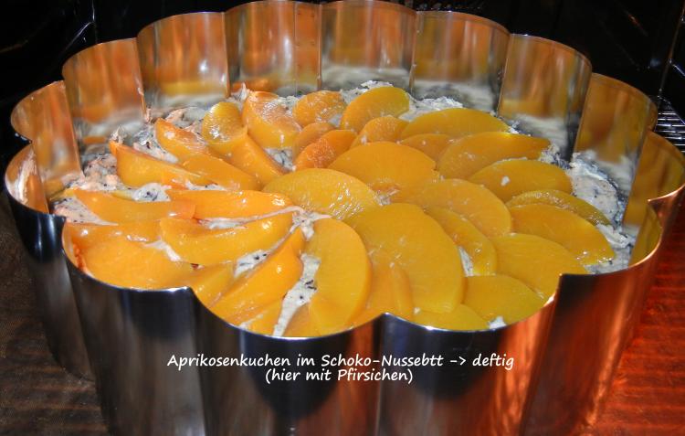 Aprikosenkuchen im Schoko-Nussbett