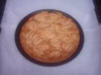 Apfelkuchen  (Großmutters Schlupfkuchen)